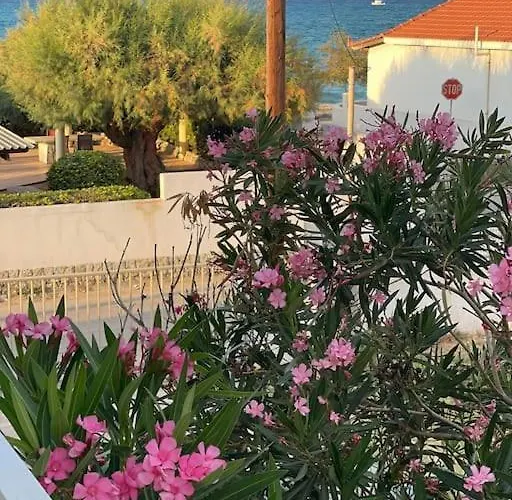 Chris View Hébergement de vacances